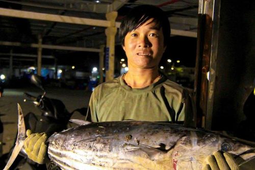 Hải sản được giá cận Tết, ngư dân Đà Nẵng phấn khởi chuyến biển cuối năm