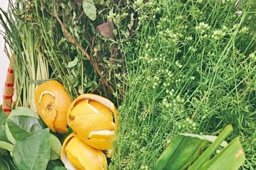 Ý nghĩa tục lệ rửa mặt bằng nước rau mùi già vào dịp tết Nguyên đán