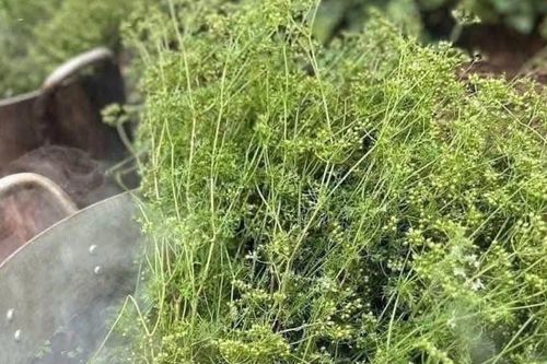 Xông lá mùi già ngày Tết, không phải ai cũng nên làm