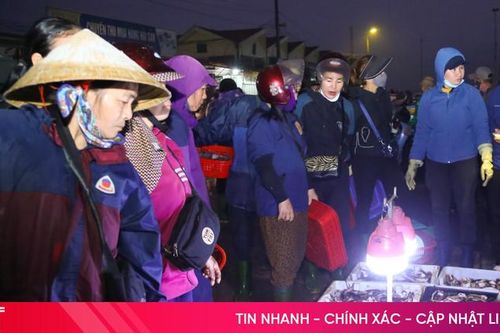 Biển lặng, trời êm, ngư dân Hà Tĩnh phấn khởi đón nhiều 'lộc biển'