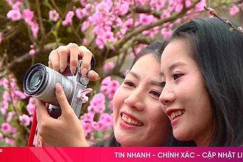 Dạo phố giữa sắc Xuân