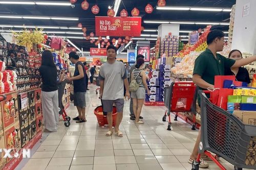 TP Hồ Chí Minh: Thị trường sắm Tết cao điểm, lượng khách gấp 3-4 lần ngày thường