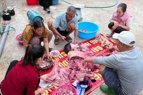 Tục 'đụng lợn', 'đụng bánh chưng' giữ nhịp Tết làng quê