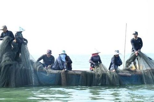 Người dân bám hồ mưu sinh, giữ nhịp xuân giữa mênh mang sóng nước trên hồ Trị An
