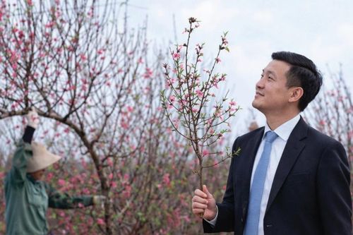 Thời gian trôi không nhạt phai màu hoa Tết
