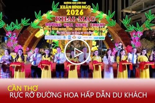 Cần Thơ: Rực rỡ đường hoa, hấp dẫn du khách
