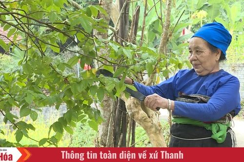 Đồng bào Thái và tục gội đầu ngày cuối năm