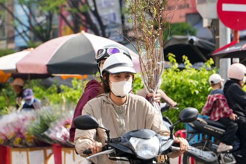 Tất bật mang xuân về nhà