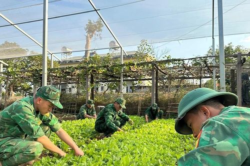 Bộ đội Biên phòng bảo đảm hậu cần đón Tết