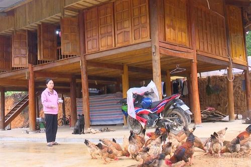 Mùa xuân trong những ngôi nhà mới sau thiên tai
