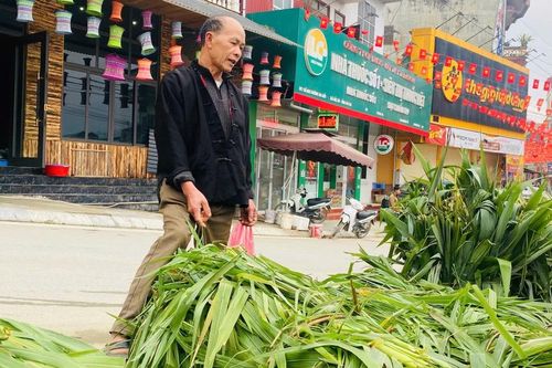Đặc sắc 'chợ cỏ' ngày cận Tết