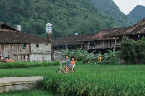 Việt Nam: Khám phá 5 làng du lịch tốt nhất thế giới cho kỳ nghỉ Tết