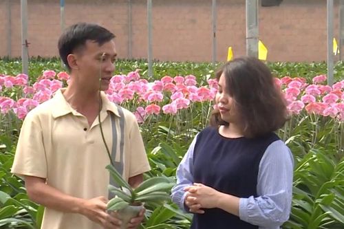 Phát triển công nghiệp hoa lan – Hướng đi chiến lược của nông nghiệp công nghệ cao Lâm Đồng