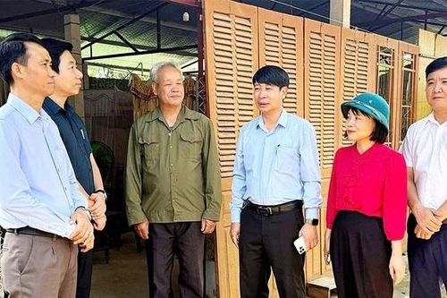 Mùa Xuân an cư