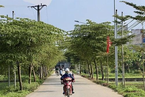 Dân vận khéo khơi sức dân làm đường giao thông