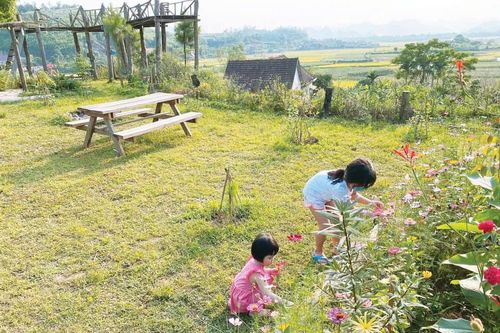 Mùa xuân trong thơ Quảng Trị