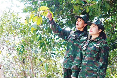 Những 'bóng hồng' giữ rừng