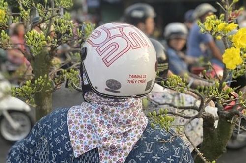 Người dân TP Hồ Chí Minh tất bật mang Xuân về nhà