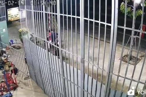 Công an TPHCM bắt nhanh nhóm đối tượng chặn đường người về quê đón Tết để 'xin đểu', cướp tài sản
