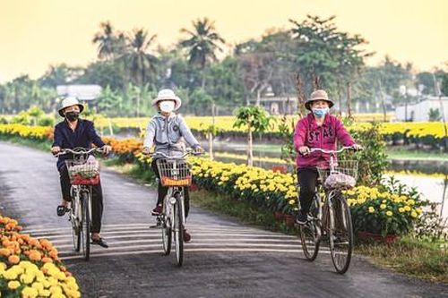 Bến quê chờ hoa Tết