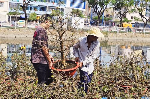 Mưu sinh mùa Tết trên những chuyến ghe hoa