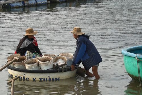 Hồi sinh 'thủ phủ tôm hùm' Vịnh Xuân Đài tại Đắk Lắk sau lũ dữ