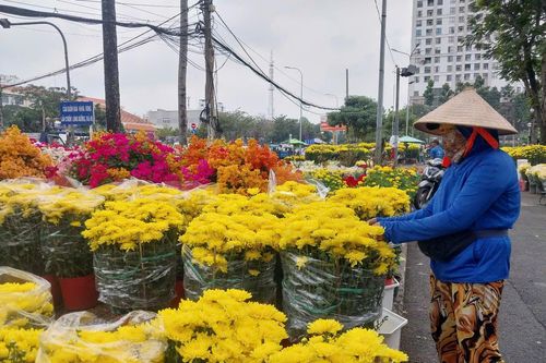 Chợ hoa ngày 28 Tết: Hoa giá vài chục nghìn đồng, bao nhiêu khách cũng mua hết
