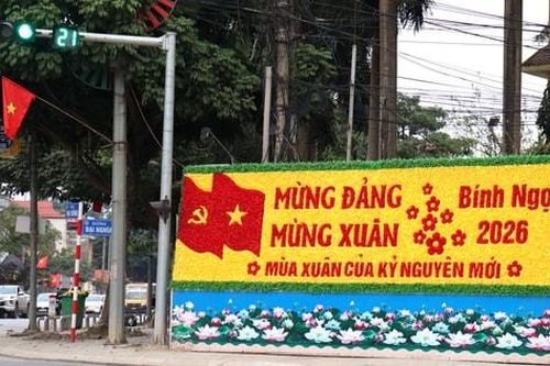 Rộn ràng sắc Xuân ngoại thành Hà Nội