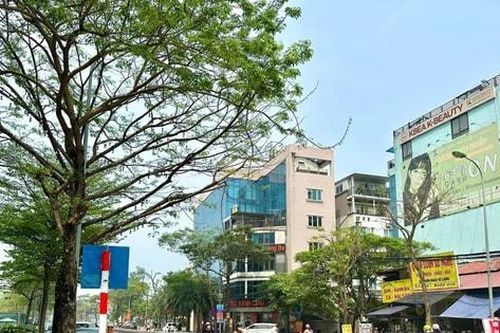 Phân luồng giao thông phục vụ thi công khẩn cấp tuyến cống dọc đường Lạc Long Quân - Hoàng Quốc Việt