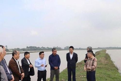 Lãnh đạo xã Phú Xuyên kiểm tra công tác sản xuất vụ xuân và chuẩn bị đón Tết Nguyên đán Bính Ngọ 2026