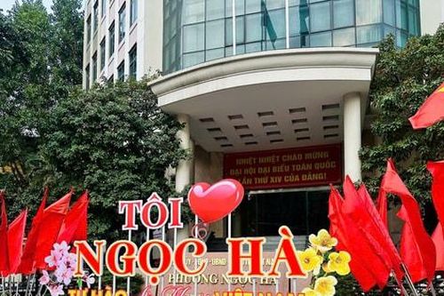 Phố phường Ngọc Hà rực rỡ cờ hoa đón Tết