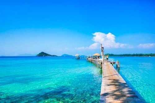 Tết 'xanh': Khi truyền thống song hành cùng phát triển bền vững