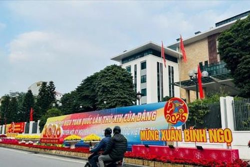 Rộn ràng sắc xuân từ các xã, phường Hà Nội