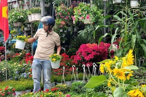 Người dân TPHCM nô nức trang hoàng nhà cửa, tất bật sắm mai, đào đón Tết