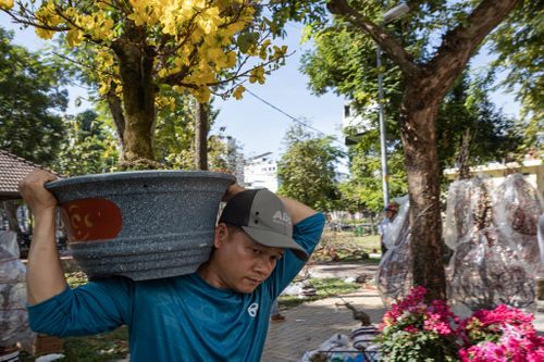 Tiểu thương bán hoa ở TP.HCM nhọc nhằn xả hàng kịp về quê ngày 29 Tết