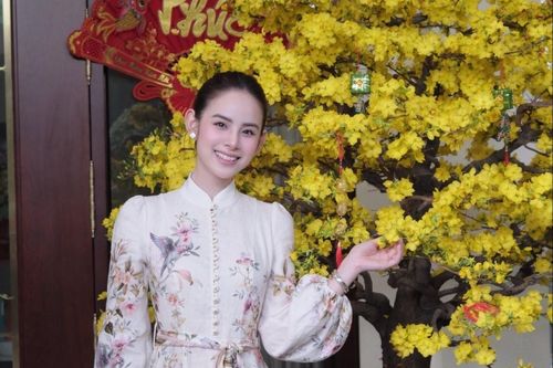 Sao Việt đón Tết bên gia đình