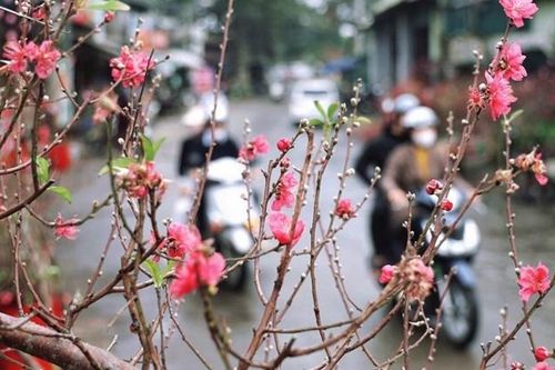 Chút lạnh trước thềm Xuân
