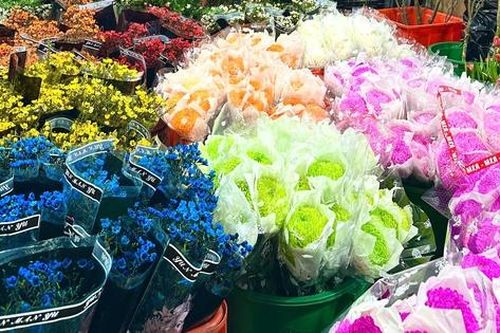 Chợ hoa đêm Quảng Bá - 'Hồn Tết' của đất Hà Thành