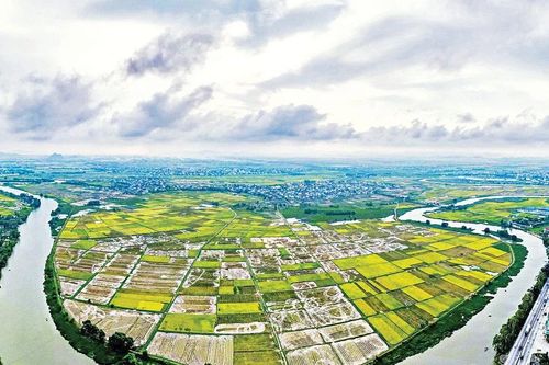 Sống cùng đất và nước