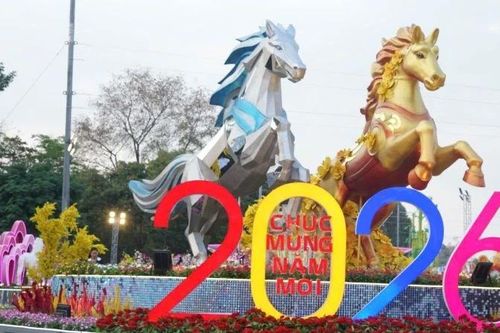 Sôi nổi hoạt động tại Hội hoa Xuân, Đường hoa Xuân và Đường sách Bính Ngọ ở khu vực Bình Dương