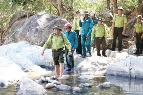 Giữ rừng những ngày Tết