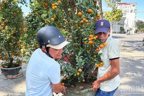 Nụ cười ngày cuối năm của những người cần lao