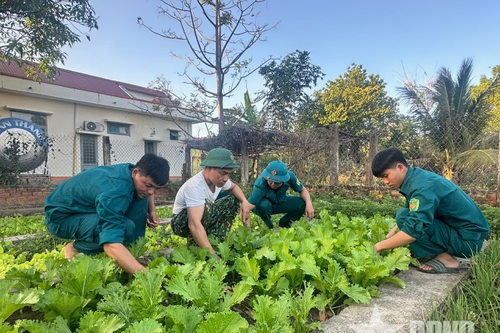 Tết này 'Bộ đội Ia Rvê' tỉnh Đắk Lắk đã tự túc được rau xanh