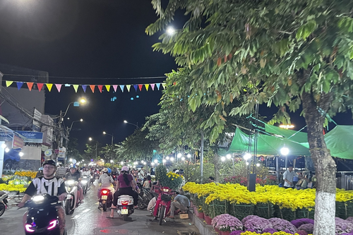 Cần Thơ: Hoa Tết giảm giá mạnh, sức mua tăng tốc giờ chót