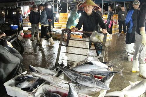 Cảng cá Thọ Quang nhộn nhịp chuyến biển 'tất niên'