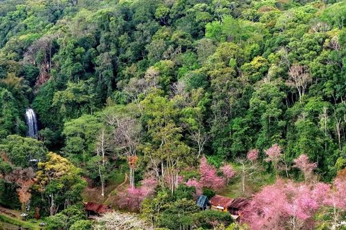 Măng Đen - Cao nguyên yên bình giữa đại ngàn