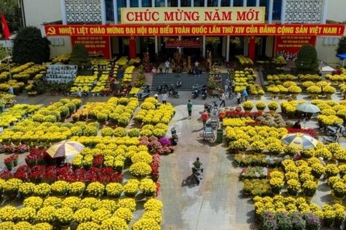 Chợ hoa Xuân Huế: Nơi Tết chạm ngõ từng mái nhà