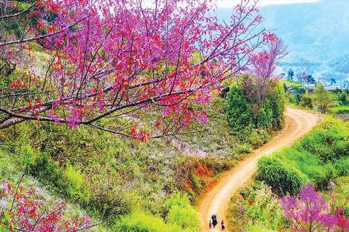 Nghe mùa Xuân đang về