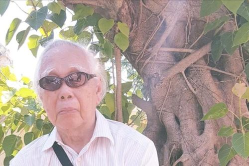 Bính Ngọ với đại lão Phan Quang