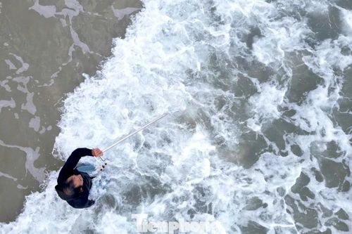 Đi giật lùi cào ốc ruốc cuối năm, ngư dân Đà Nẵng kiếm tiền triệu